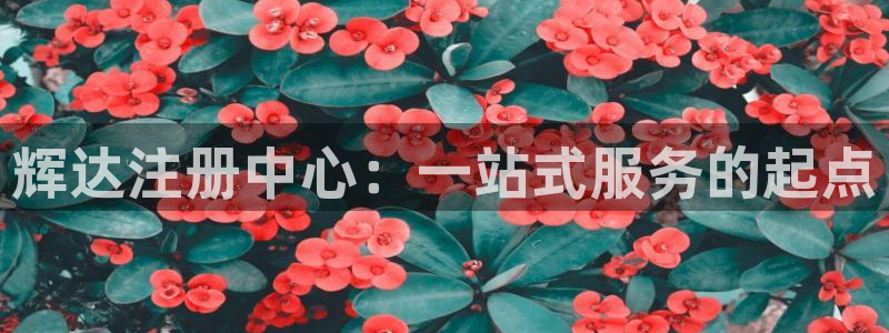门徒娱乐下载：辉达注册中心：一站式服务的起点