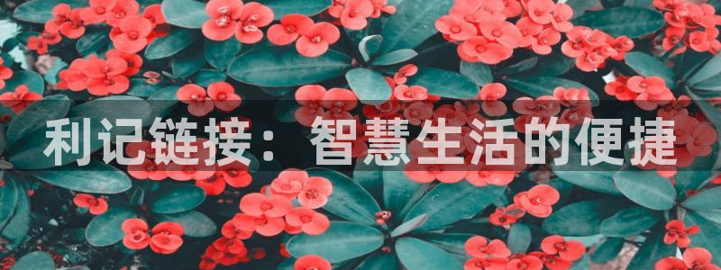 门徒娱乐,apk：利记链接：智慧生活的便捷