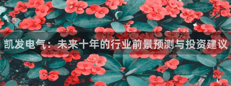 门徒娱乐网站登录流程：凯发电气：未来十年的行业前景预测与投资建议