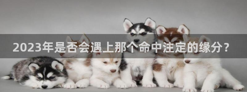 门徒娱乐电子游戏：2023年是否会遇上那个命中注定的缘分？