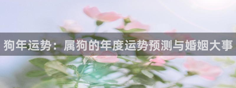 门徒娱乐下载并安装：狗年运势：属狗的年度运势预测与婚姻大事