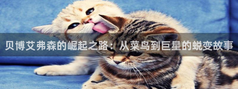 门徒娱乐哪个游戏好爆：贝博艾弗森的崛起之路：从菜鸟到巨星的蜕变故事