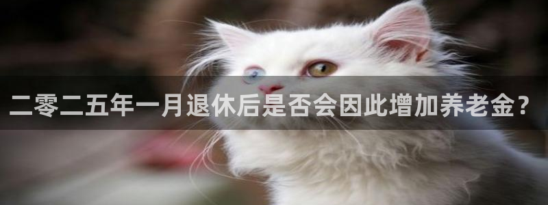 门徒娱乐电玩网官网入口：二零二五年一月退休后是否会因此增加养老金？