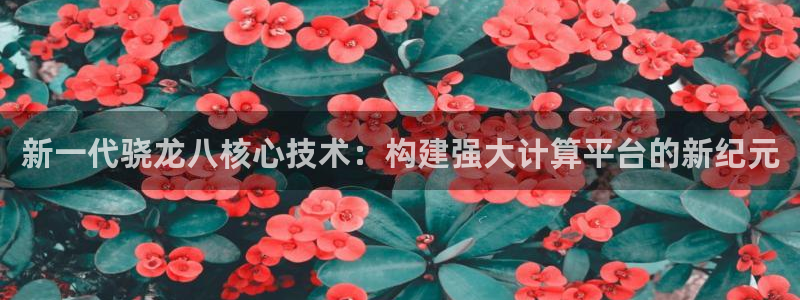 壹号电子娱乐app下载安装：新一代骁龙八核心技术：构建强大计算平台的新纪元