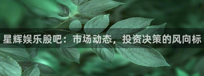 门徒娱乐平台最新版本下载：星辉娱乐股吧：市场动态，投资决策的风向标
