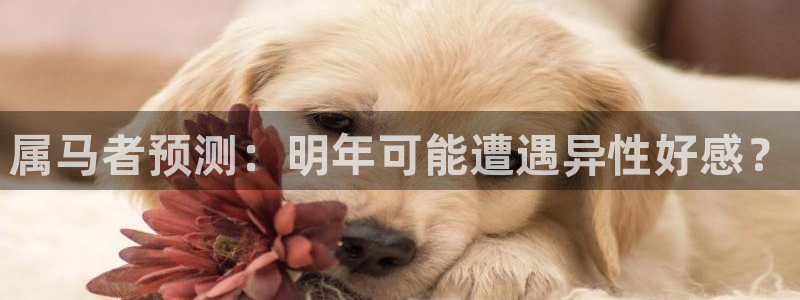 门徒娱乐下载：属马者预测：明年可能遭遇异性好感？