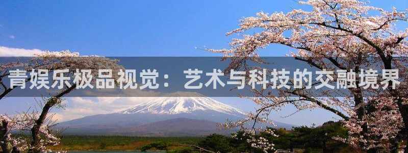 壹号电子娱乐app下载安装最新版本：青娱乐极品视觉：艺术与科技的交融境界