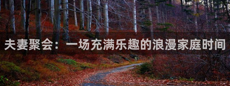 门徒娱乐语音在哪里看：夫妻聚会：一场充满乐趣的浪漫家庭时间