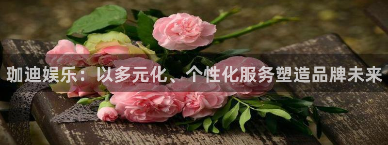 门徒娱乐游戏试玩：珈迪娱乐：以多元化、个性化服务塑造品牌未来