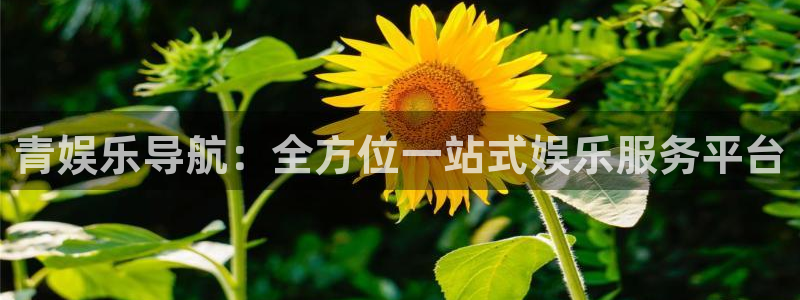 门徒娱乐是什么：青娱乐导航：全方位一站式娱乐服务平台