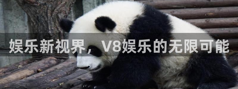 门徒娱乐平台官方入口：娱乐新视界，V8娱乐的无限可能