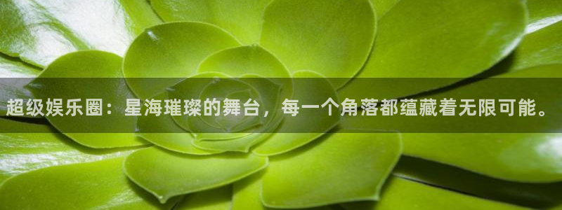 门徒娱乐网站：超级娱乐圈：星海璀璨的舞台，每一个角落都蕴藏着无限可能。