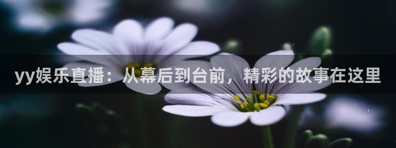 壹号下载安装：yy娱乐直播：从幕后到台前，精彩的故事在这里