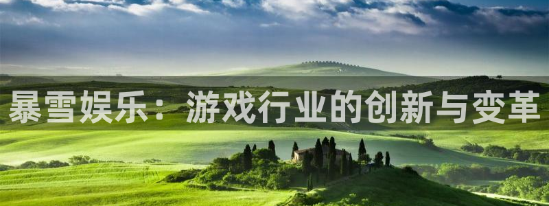 门徒平台官网：暴雪娱乐：游戏行业的创新与变革