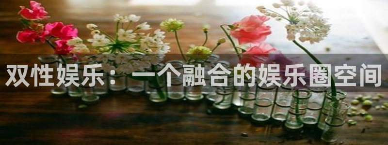 门徒娱乐苹果手机下载链接：双性娱乐：一个融合的娱乐圈空间