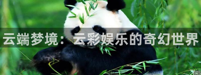 门徒娱乐登录平台：云端梦境：云彩娱乐的奇幻世界