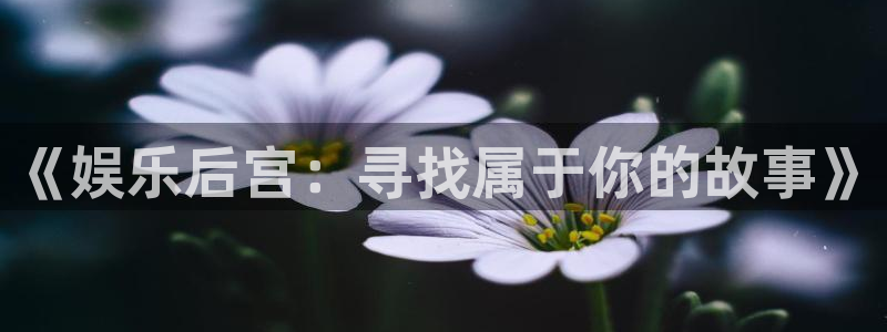 门徒娱乐.ccmpc29官网版下载：《娱乐后宫：寻找属于你的故事》