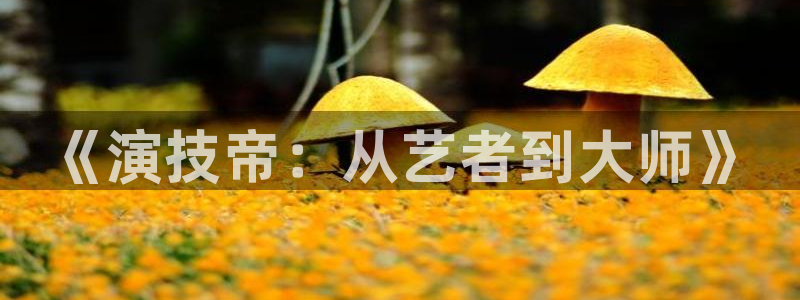 门徒娱乐游戏官网入口：《演技帝：从艺者到大师》