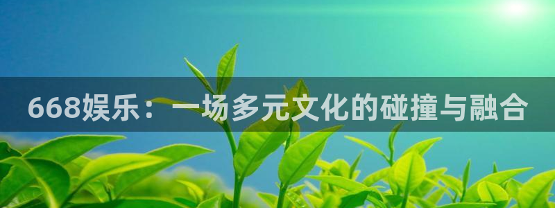 门徒平台官网登录入口：668娱乐：一场多元文化的碰撞与融合