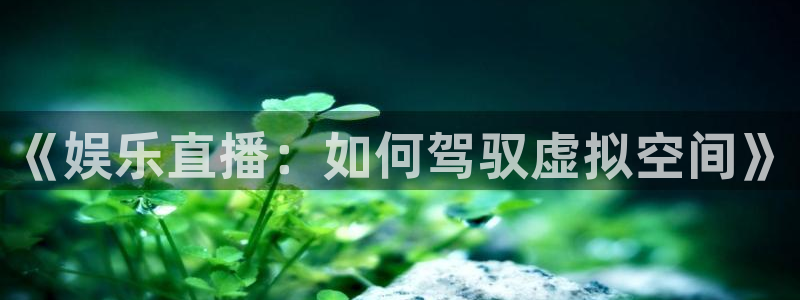门徒娱乐游戏官网版：《娱乐直播：如何驾驭虚拟空间》