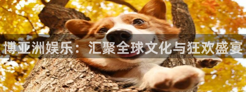 门徒娱乐语音在哪里看：博亚洲娱乐：汇聚全球文化与狂欢盛宴