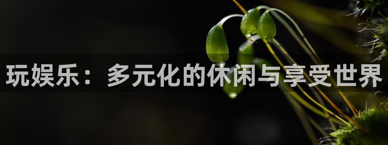 门徒娱乐.ccm苹果版：玩娱乐：多元化的休闲与享受世界