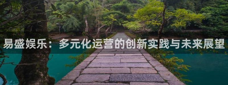 门徒娱乐电子游戏：易盛娱乐：多元化运营的创新实践与未来展望