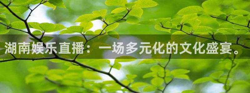门徒娱乐,apk.：湖南娱乐直播：一场多元化的文化盛宴。